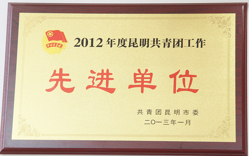 昆明市荆州商会2012年被共青团昆明市委评为先进单位