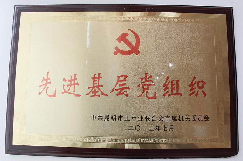昆明市荆州商会党支部2013年被评为先进基层党组织